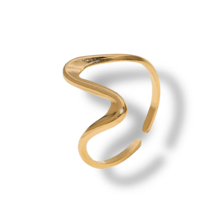 Hummingbird notebook