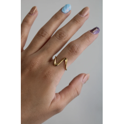 Hummingbird notebook